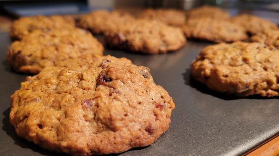 cranberry oatmeal cookie